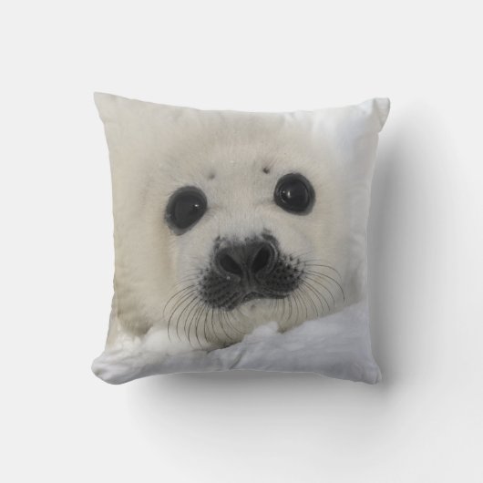 Baby Harp Seal Kussen (Voorkant)