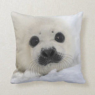 Baby Harp Seal Kussen