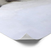 Baby Harp Seal Poster (Hoek)