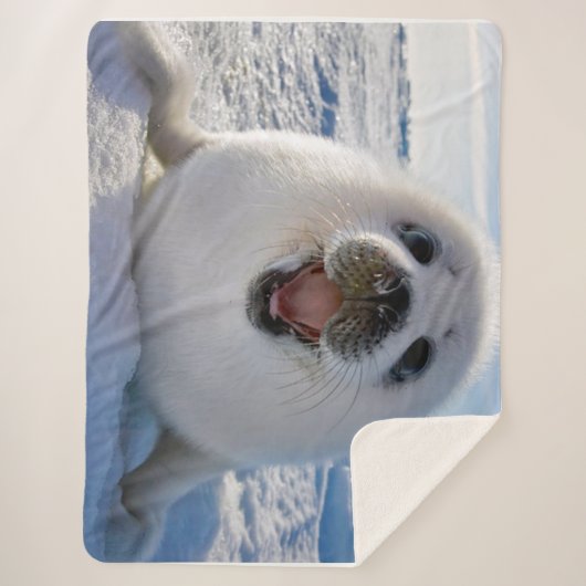 Baby Harp Seal Sherpa Deken (Voorkant)