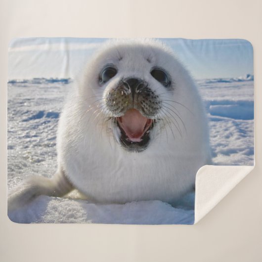 Baby Harp Seal Sherpa Deken (Voorkant (horizontaal))