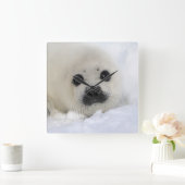 Baby Harp Seal Vierkante Klok (Huis)
