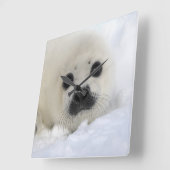 Baby Harp Seal Vierkante Klok (Hoek)