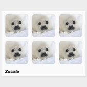 Baby Harp Seal Vierkante Sticker (Vel)