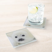 Baby harp zeehondenpup op ijs van het witte Zee Glazen Onderzetter (Schuin)