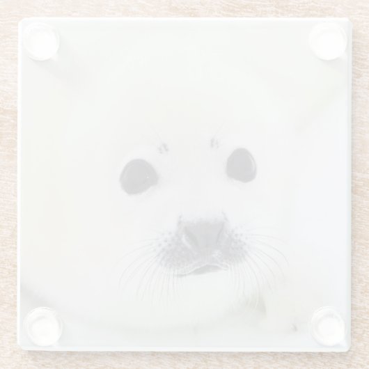 Baby harp zeehondenpup op ijs van het witte Zee Glazen Onderzetter (Achterkant)