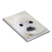 Baby harp zeehondenpup op ijs van het witte Zee Notitieboek (Rechterzijde)