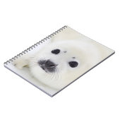 Baby harp zeehondenpup op ijs van het witte Zee Notitieboek (Linkerzijde)