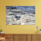 Baby-havenzegel, Bar Harbour, Maine Canvas Afdruk (Insitu (Woonkamer))