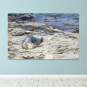 Baby-havenzegel, Bar Harbour, Maine Canvas Afdruk (Insitu (Houten vloer))