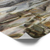 Baby-havenzegel, Bar Harbour, Maine Poster (Hoek)