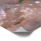 Baby-havenzegel Poster (Hoek)