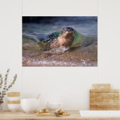 Baby-havenzegel Poster (Keuken)