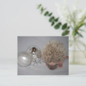Baby Hedgehog Christmas Briefkaart (Staand voorkant)