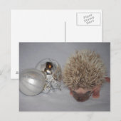 Baby Hedgehog Christmas Briefkaart (Voorkant / Achterkant)