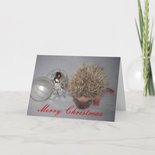 Baby Hedgehog Christmas Kaart (Voorkant)