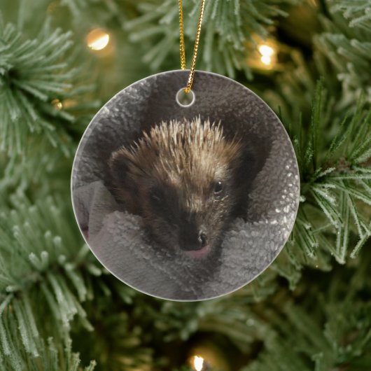 Baby Hedgehog op Blanket Ornament (Boom)