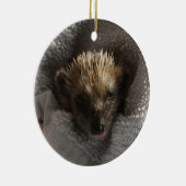 Baby Hedgehog op Blanket Ornament (Rechts)