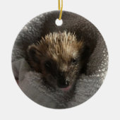 Baby Hedgehog op Blanket Ornament (Voorkant)