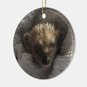 Baby Hedgehog op Blanket Ornament (Links)