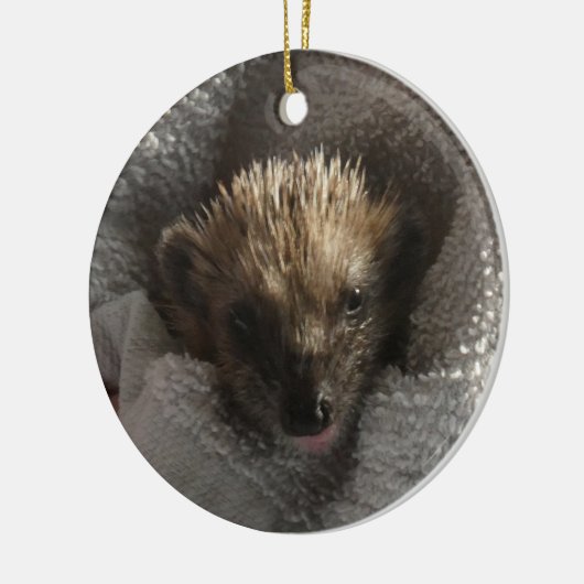 Baby Hedgehog op Blanket Ornament (Links)