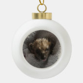 Baby Hedgehog op Blanket Snowflake Framed Ornament (Voorkant)
