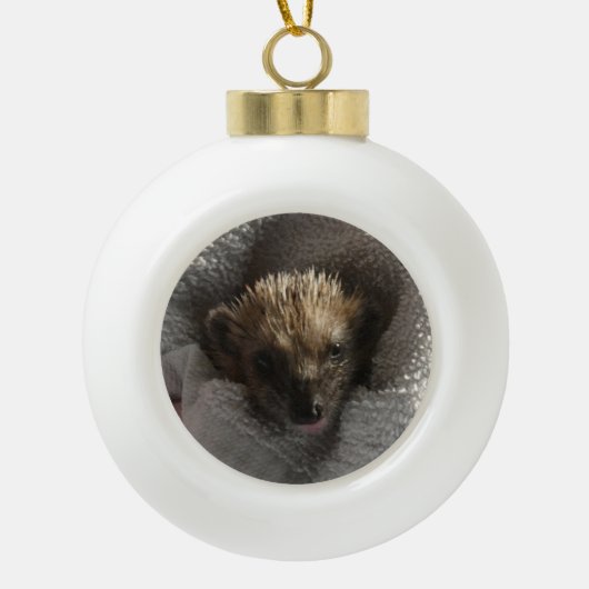 Baby Hedgehog op Blanket Snowflake Framed Ornament (Voorkant)