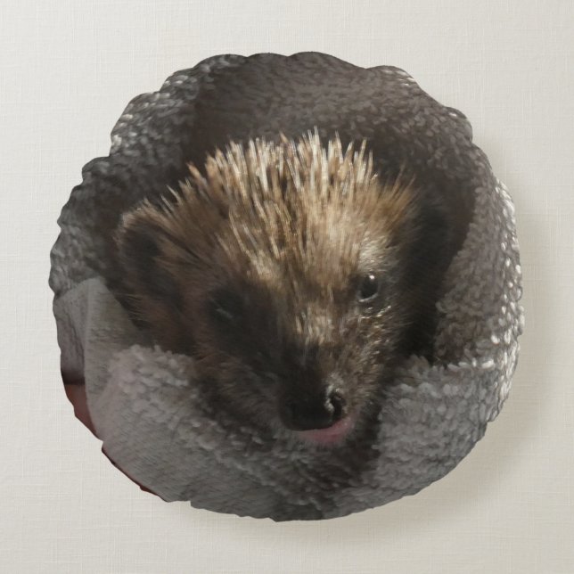 Baby Hedgehog op deken rond kussen (Voorkant)