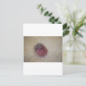 Baby Hedgel Briefkaart (Staand voorkant)