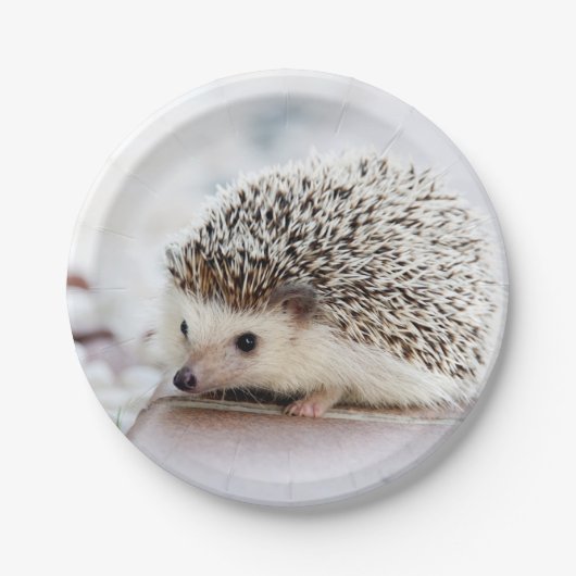 Baby Hedgel Papieren Bordje (Voorkant)
