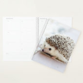 Baby Hedgel Planner (Display)