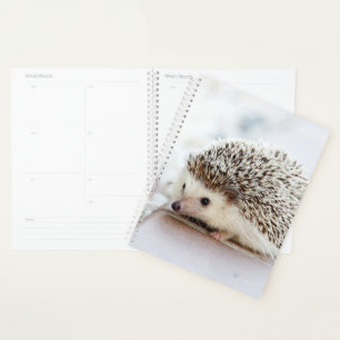 Baby Hedgel Planner