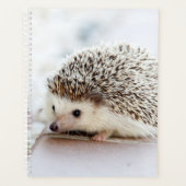 Baby Hedgel Planner (Voorkant)