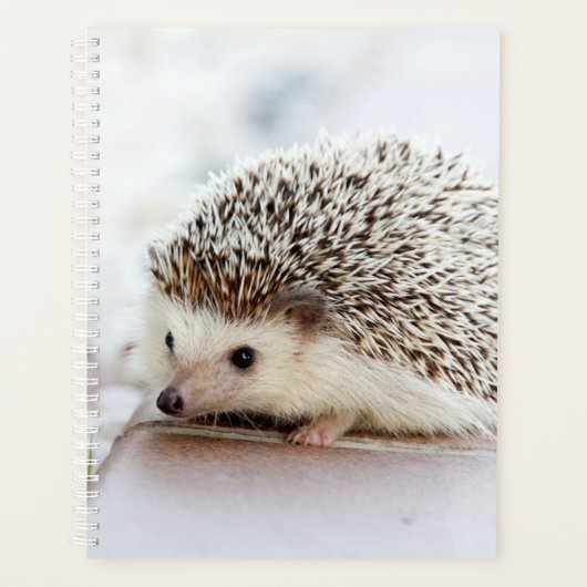 Baby Hedgel Planner (Voorkant)