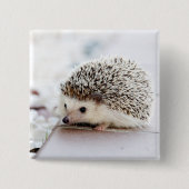 Baby Hedgel Vierkante Button 5,1 Cm (Voorkant)