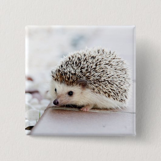 Baby Hedgel Vierkante Button 5,1 Cm (Voorkant)