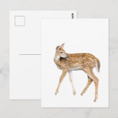 Baby herten briefkaart (Voorkant / Achterkant)