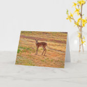 Baby Herten Fawn Wild Animal Art Note Kaart (Gele Bloem)