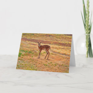 Baby Herten Fawn Wild Animal Art Note Kaart