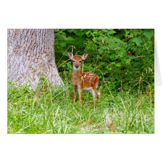 Baby Herten in de Bossen Natuur Fotografie (Voorkant Horizontaal)