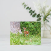 Baby Herten in de Bossen Natuur Fotografie Briefkaart (Staand voorkant)