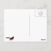 Baby Herten in de Bossen Natuur Fotografie Briefkaart (Achterkant)