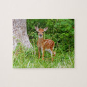 Baby Herten in de Bossen Natuur Fotografie Legpuzzel (Horizontaal)