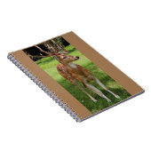 Baby herten notitieboek (Rechterzijde)