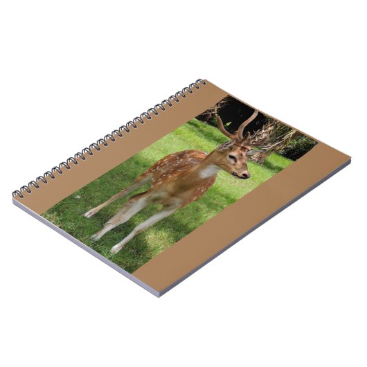 Baby herten notitieboek (Linkerzijde)