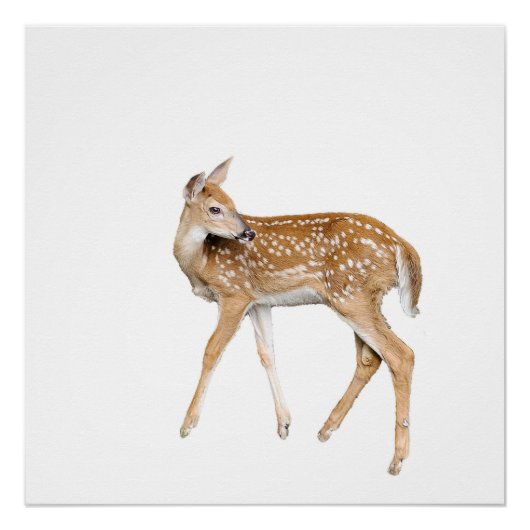 Baby herten perfect poster (Voorkant)