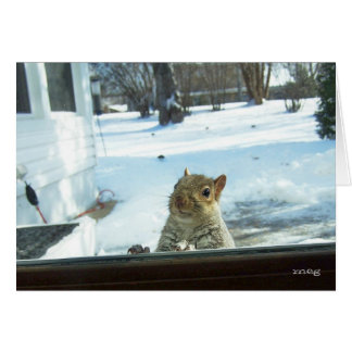 Baby Het is buiten koud