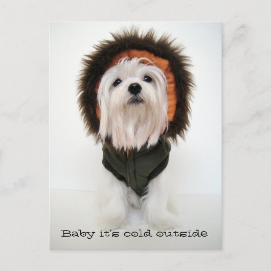 Baby het is buiten koud briefkaart (Voorkant)