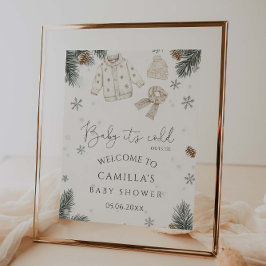 Baby Het is het Koude Onthaal van het Baby shower Poster