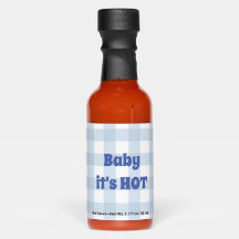 Baby het is HOT Blue Gingham Check Boy Baby shower